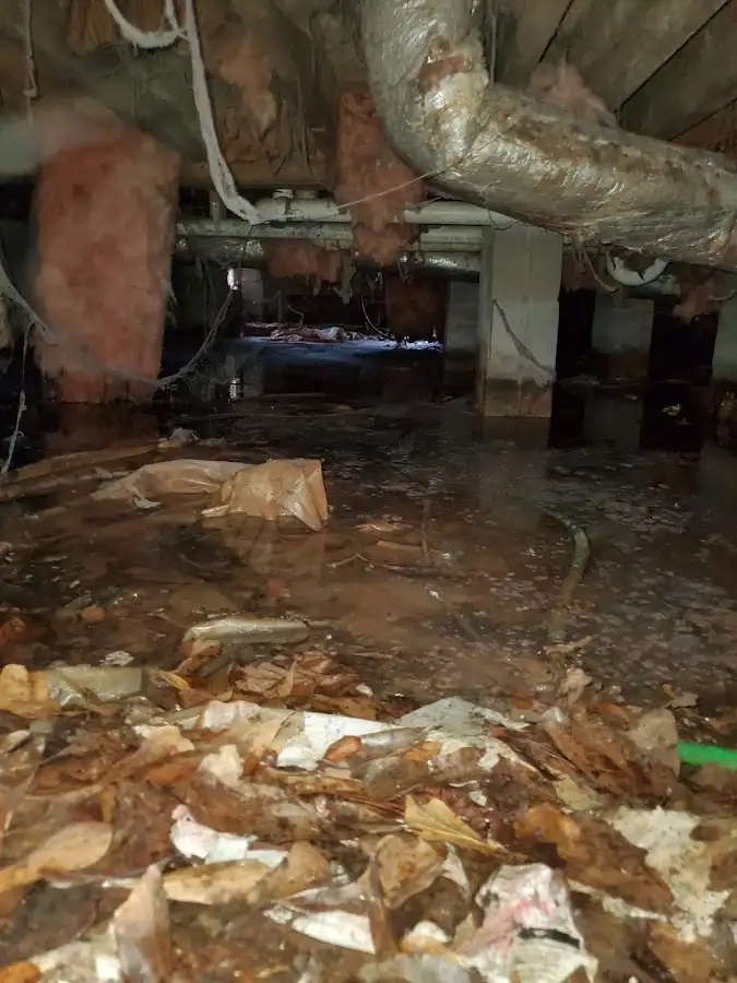 Crawl space flood assessment for Leak Detection & Repair in North Branford